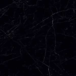 Belgium Black